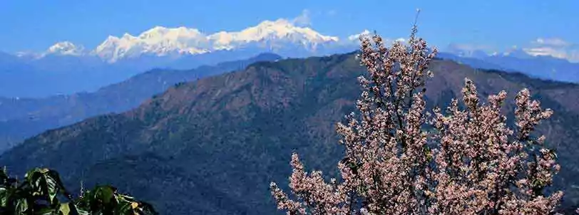 beautiful himalaya from kolakham during Lava lolegaon Rishop tour