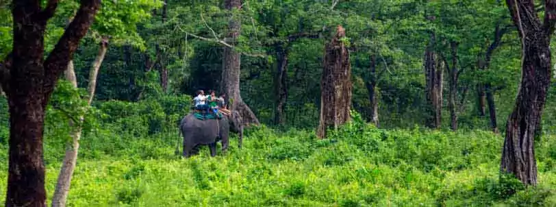 Jaldapara Elephant Safari in Dooars booked from Hollong Tourist Lodge