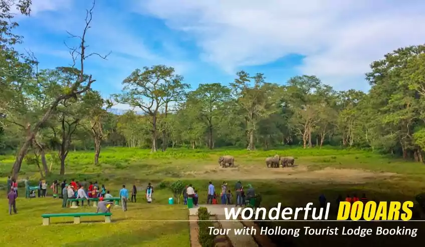 book jaldapara hollong tourist lodge of wbtdc for dooars tour with naturewings