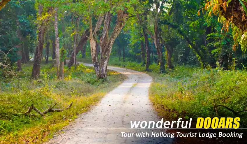 dooars jaldapara gorumara tour package booking cost with naturewings
