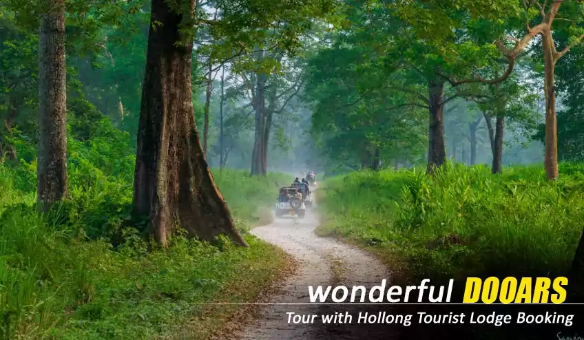 dooars jeep safari booking in gorumara chilapata forest with naturewings