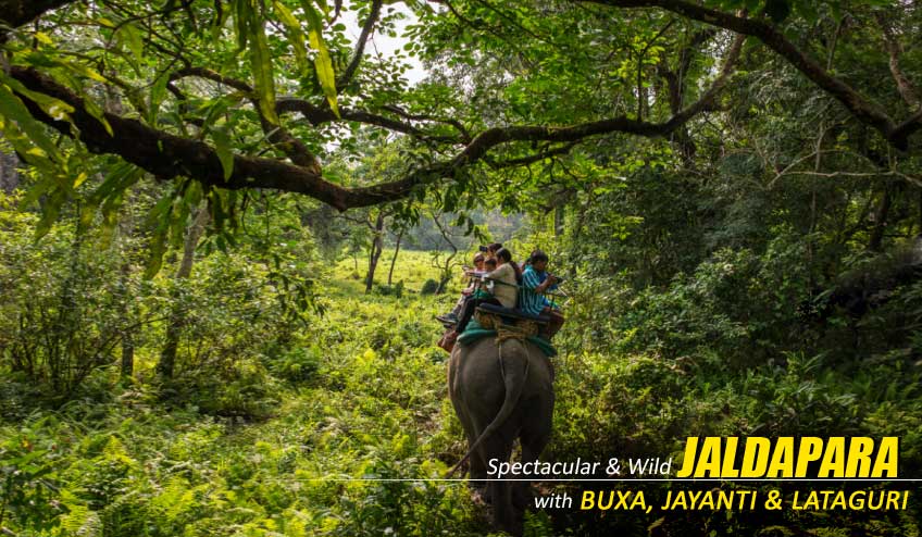 jaldapara jungle safari booking