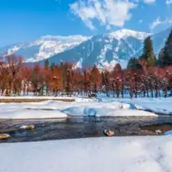 Jammu Kashmir family tour packages