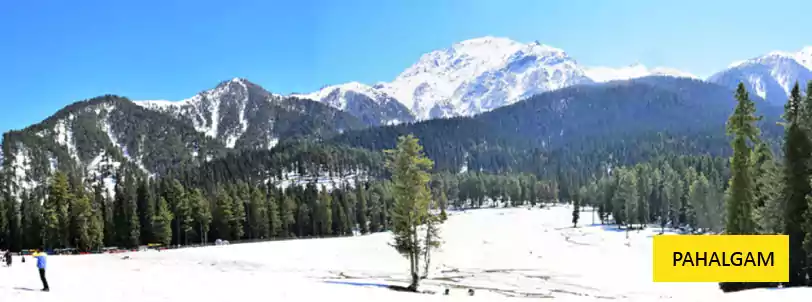 kashmir holiday package tour from kolkata with pahalgam