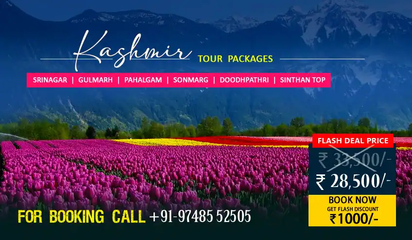 Kashmir Offbeat Package Tour