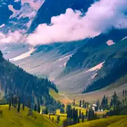 Kashmir Offbeat Tour Packages with Yusmarg