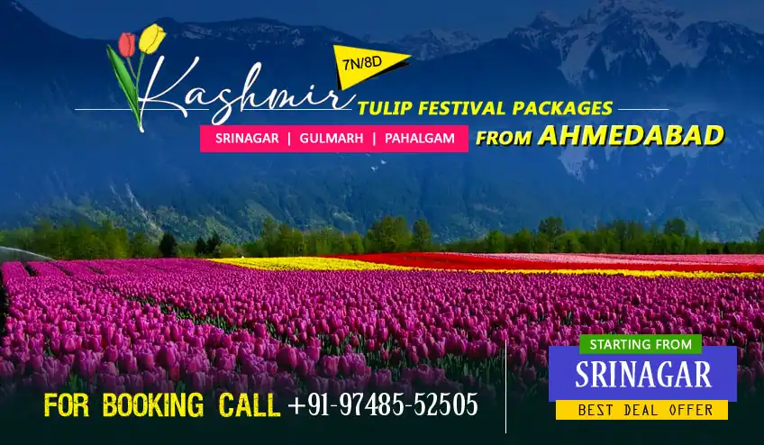 Kashmir package tour from Ahmedabad