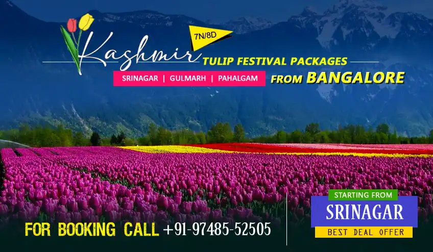 Kashmir package tour from Bangalore