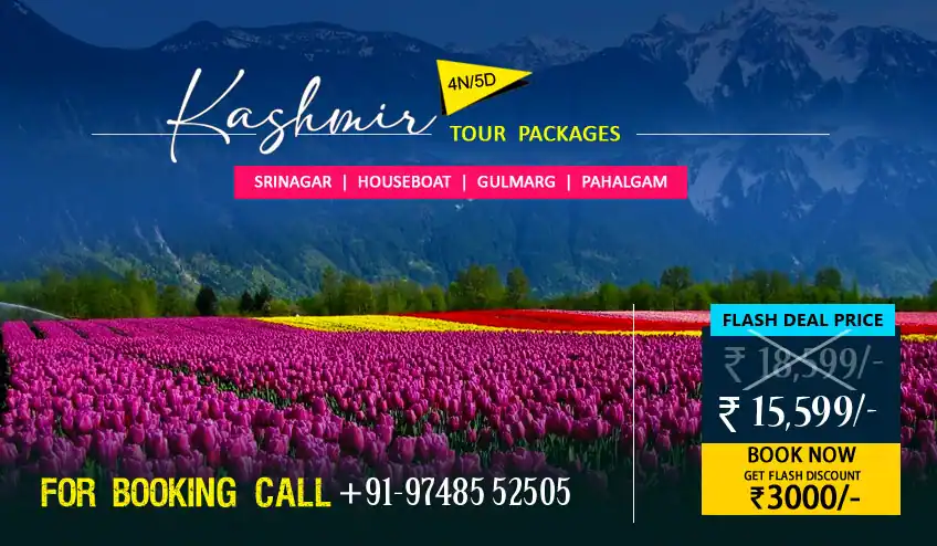 Kashmir package tour from Chennai