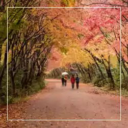 kashmir package tour from kolkata - NatureWings