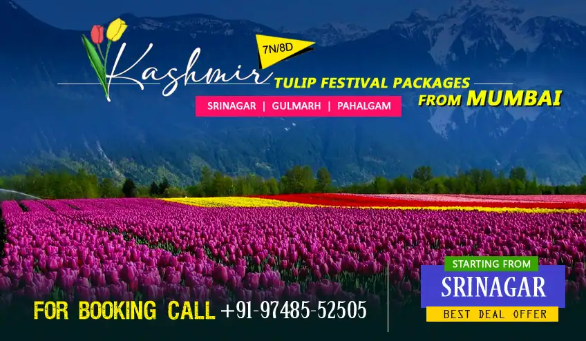 Kashmir Package From Mumbai with NatureWings