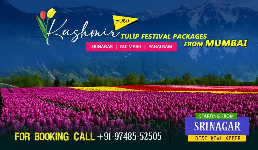 Kashmir package tour from Mumbai