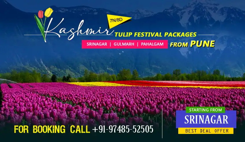 Kashmir package tour from Pune