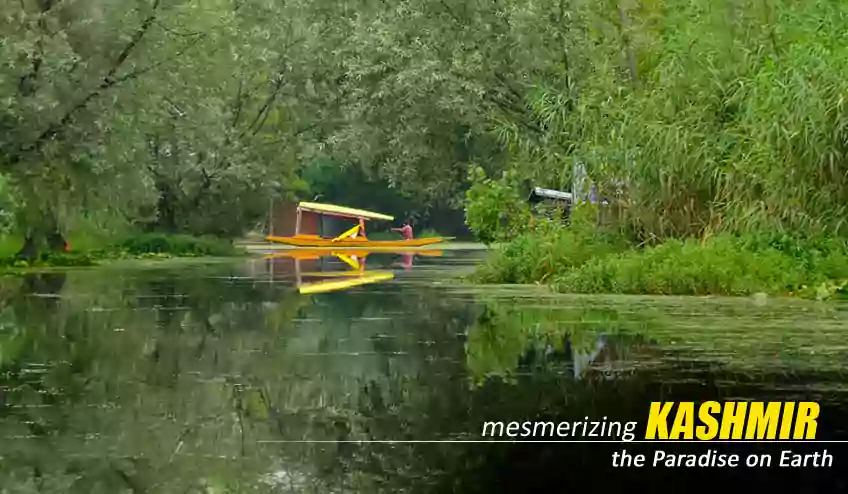 Kashmir Package Tour Booking From Mumbai - NatureWings