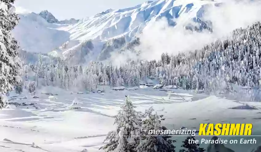Kashmir Tour Package Cost From Mumbai - NatureWings