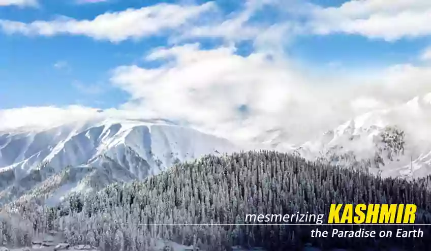 Kashmir Tour Packages from Mumbai - NatureWings