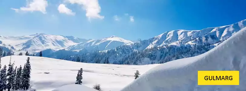 kashmir tour package booking with gulmarg tour and goldola ride with phase 1 and phase 2 from NatureWings