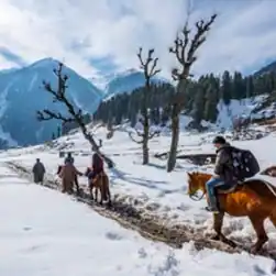 Kashmir Tour with Gurez Valley
