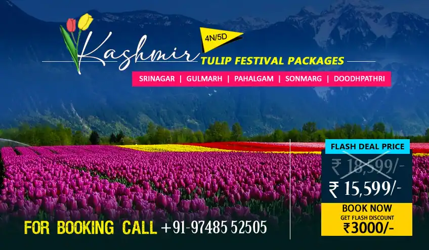 kashmir tulip festival package booking with naturewings