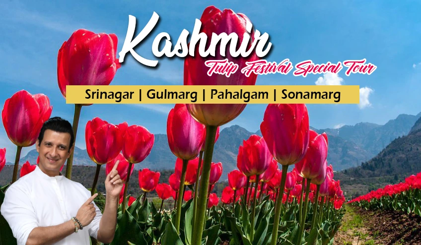 kashmir tulip festival group tour packages from kolkata