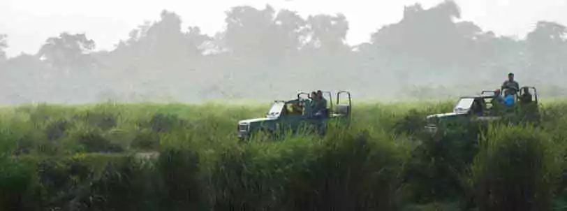 kaziranga National Park jeep safari