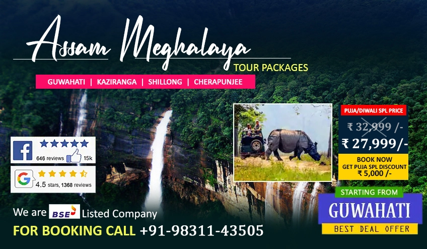 kaziranga shillong cherrapunji package tour from guwahati