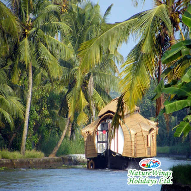 Kerala Honeymoon Packages with private houseboat