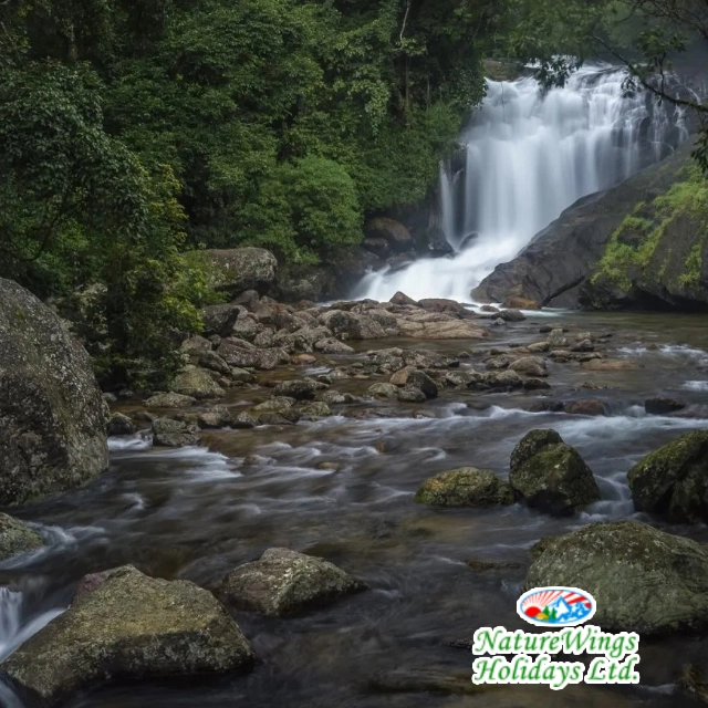 Munnar hill station scenic landscape