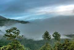 Chota Mangwa Tour