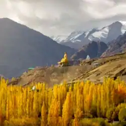 kolkata to ladakh tour travel package bookings