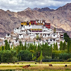 Ladakh Manali packages