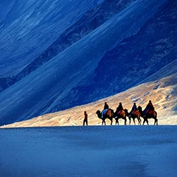 Ladakh Package Tour from Manali by Car Upshi 