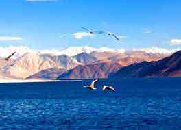 Ladakh Pangong Lake Package Tour