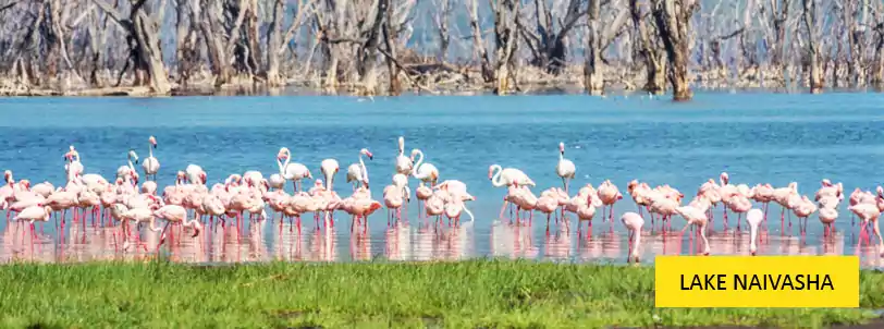 lake naivasha kenya tour package from mumbai