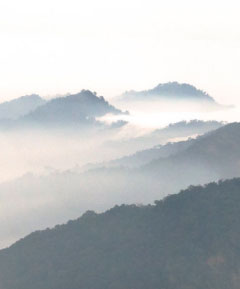 Rangaroon, Darjeeling