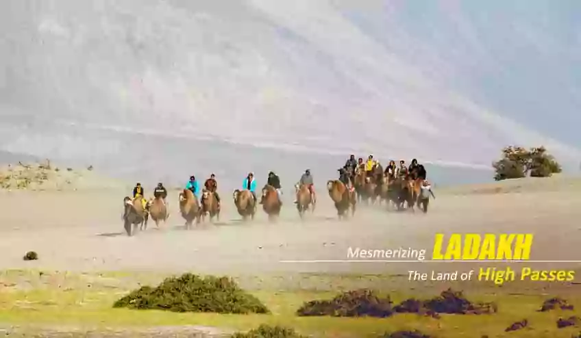 Leh Ladakh Packages From Mumbai - NatureWings