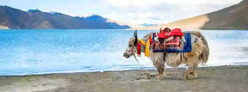 Leh Ladakh Tour Package from Kolkata with Pangong Lake day excursion and night Stay at Deluxe Camp