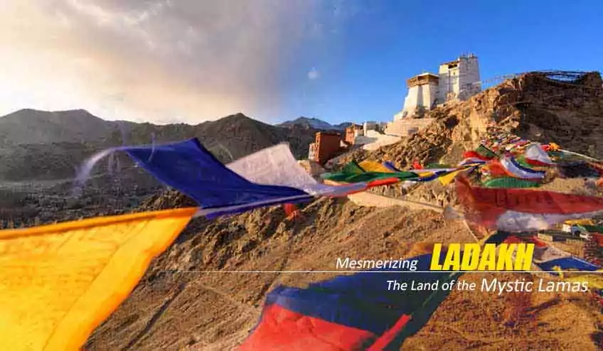 ladakh tour packages - NatureWings