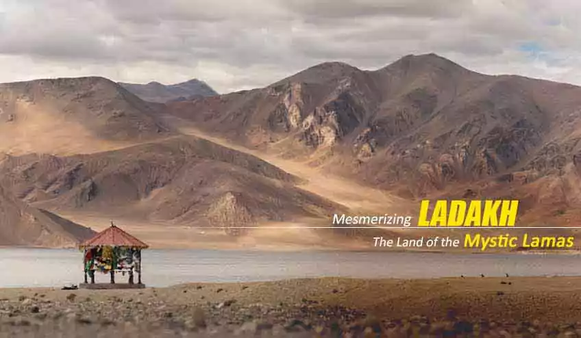 leh ladakh package tour - NatureWings