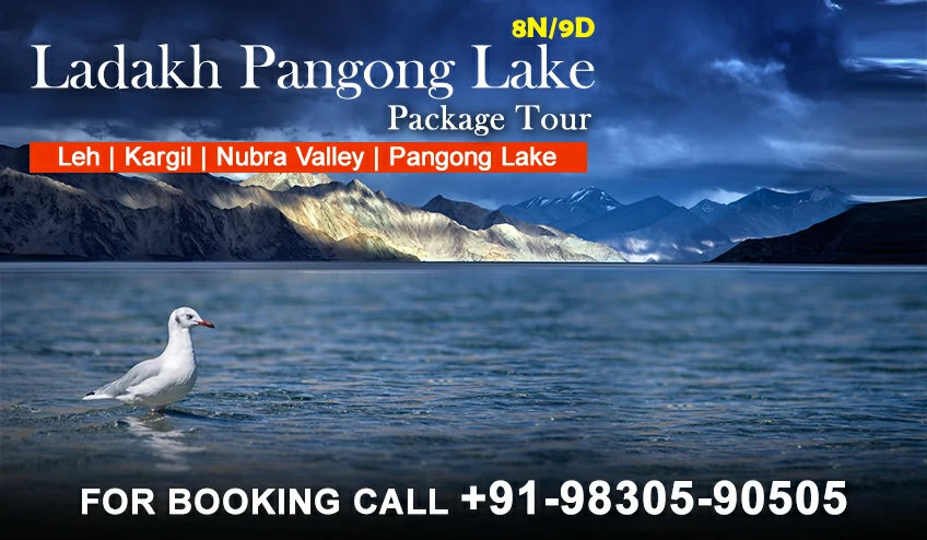 pangong lake package tour - NatureWings