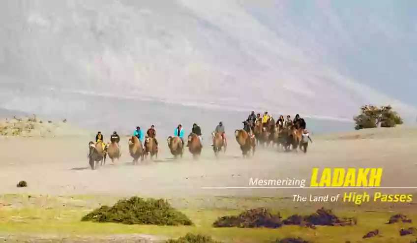 leh ladakh tour packages from kolkata - NatureWings