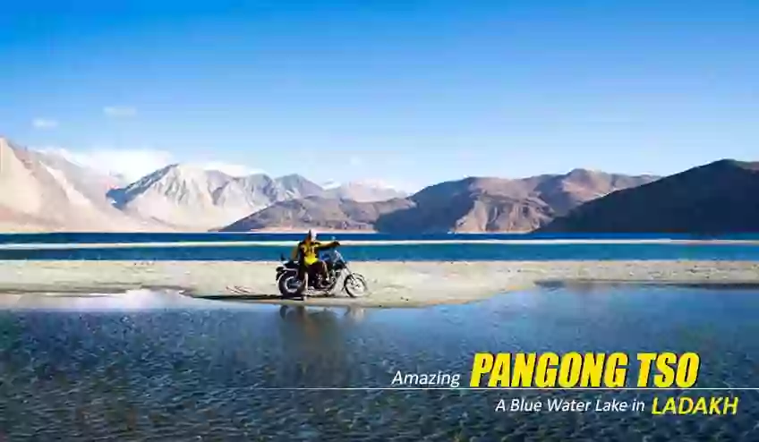 pangong lake package tour booking - NatureWings