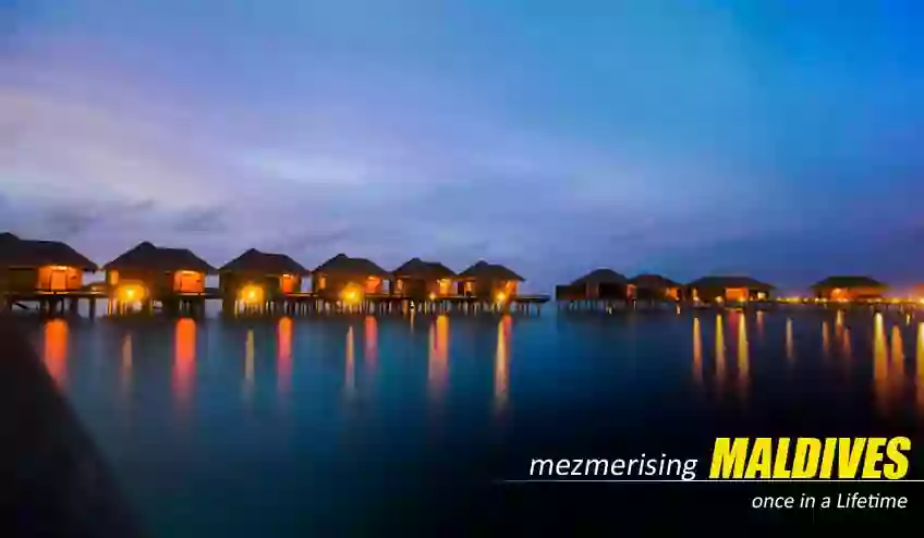 Maldives Package Tour - NatureWings