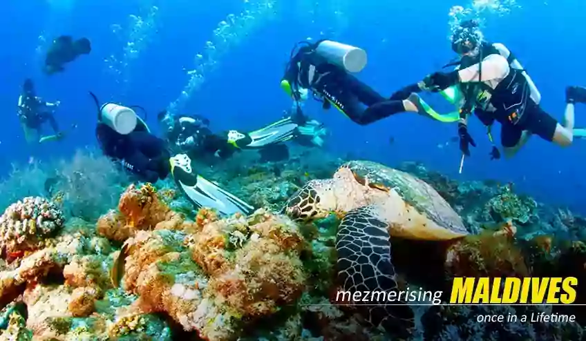 Maldives Tour Package from Mumbai - NatureWings