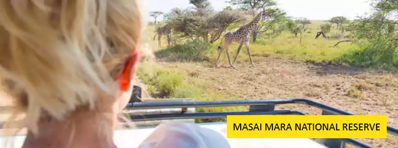 masai mara national reserve open jeep safari