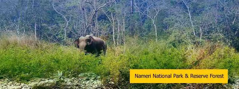 nameri national park tour, assam