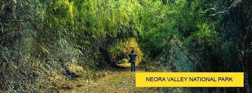 neora valley national park trekking