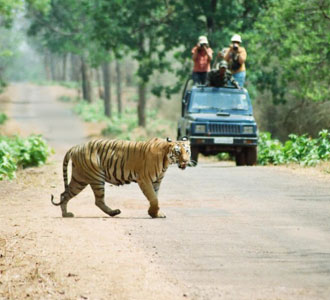 Chitwan-destination