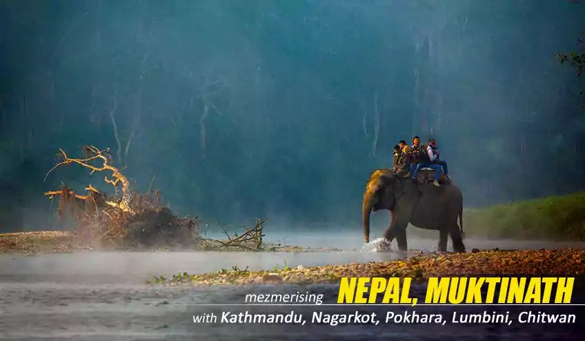 nepal package tour with chitwan national park elephant safari - NatureWings