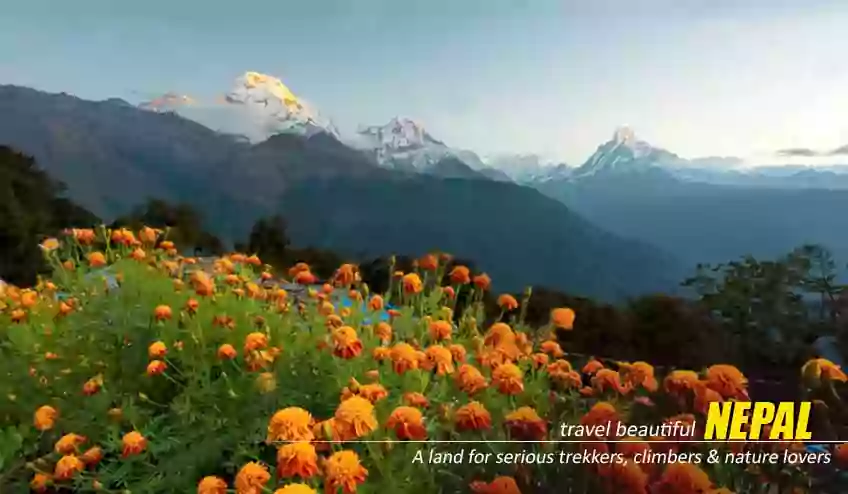 Nepal Tour Package From India 7N/8D - NatureWings